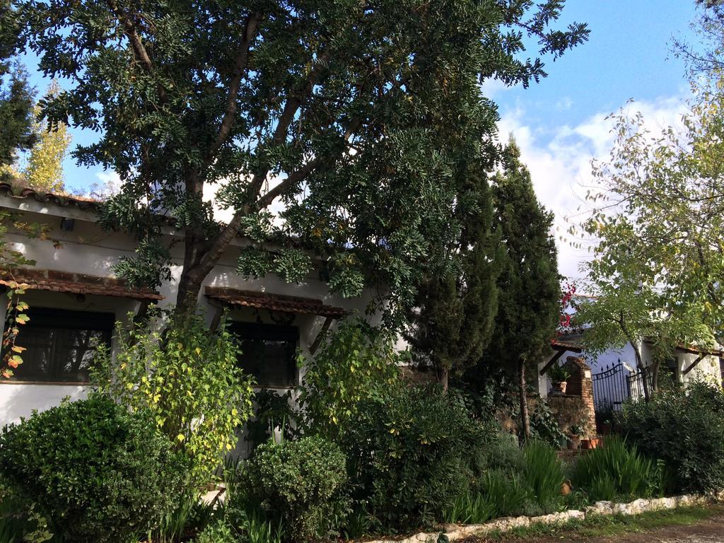 Cortijo El Berrocal Vendégház Cazalla de la Sierra Kültér fotó