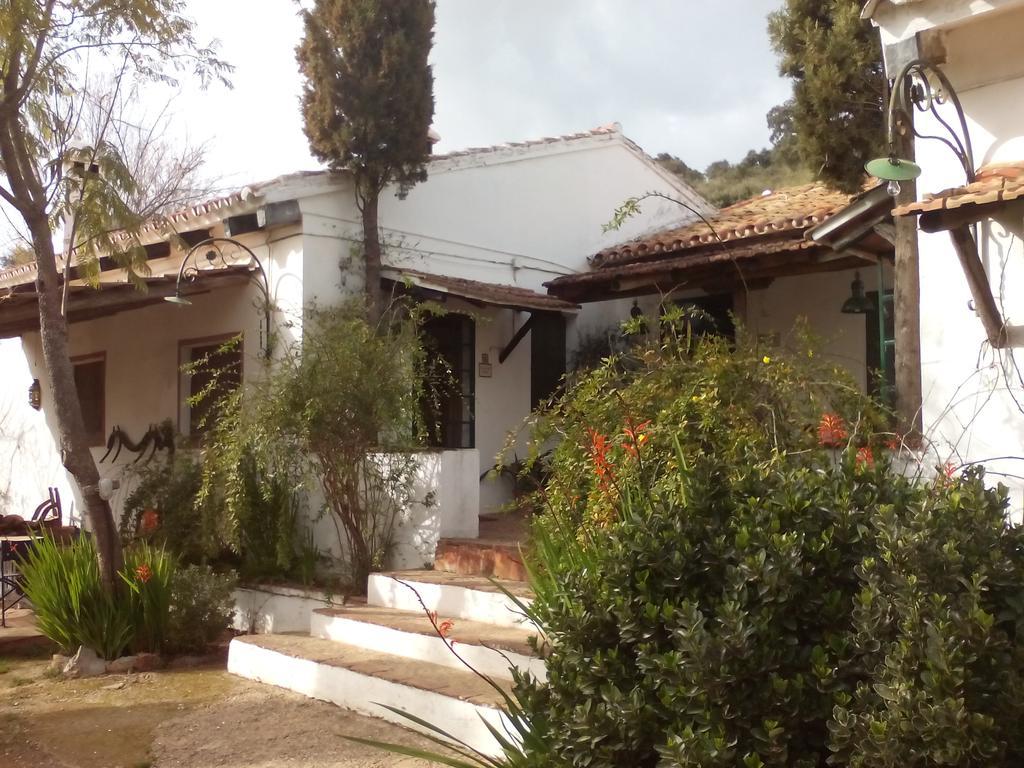 Cortijo El Berrocal Vendégház Cazalla de la Sierra Kültér fotó